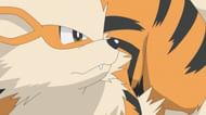 Mega Arcanine could be a breathtaking addition to Pokemon Legends Z-A (Image via The Pokemon Company)